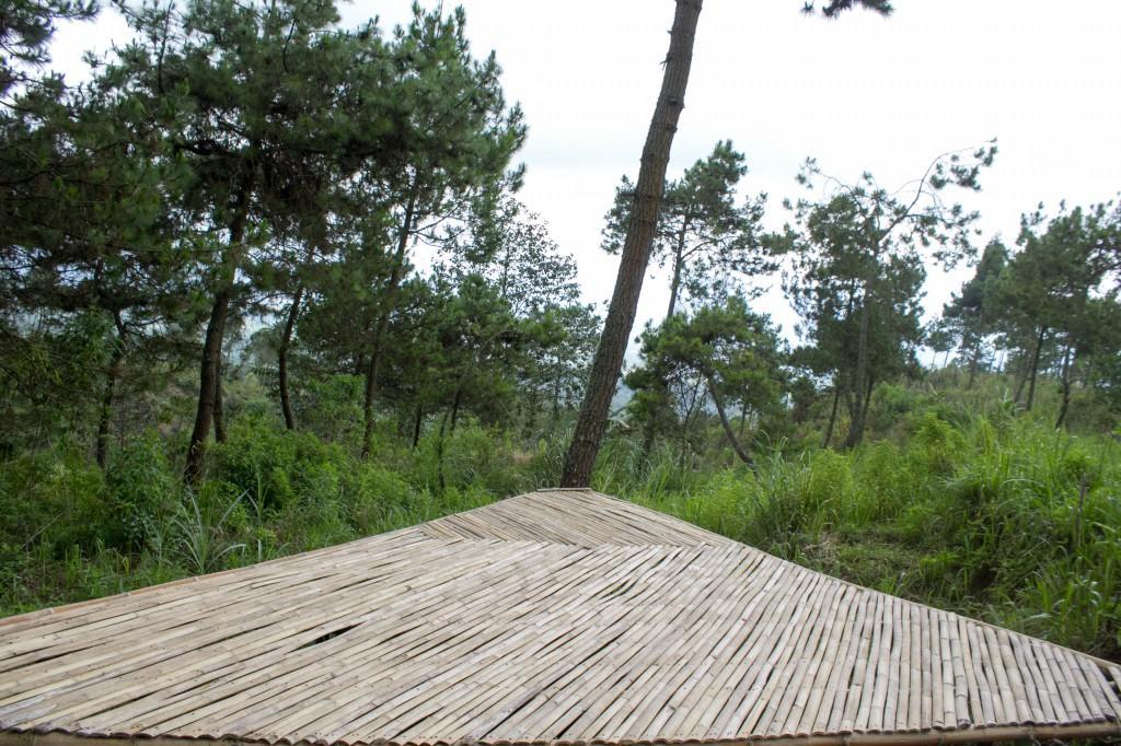 Отель Papandayan Camping Ground Cileuleuy Экстерьер фото