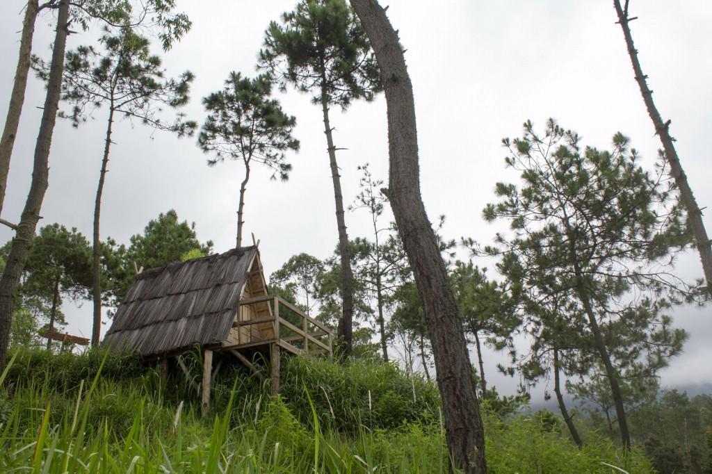Отель Papandayan Camping Ground Cileuleuy Экстерьер фото