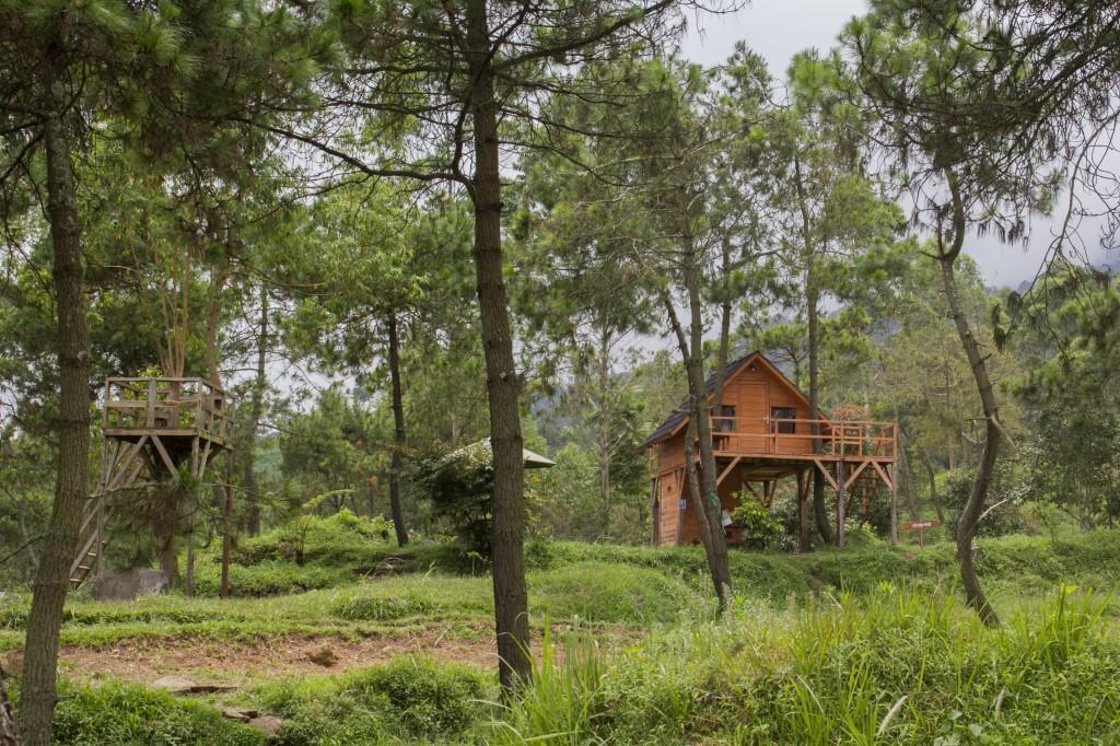 Отель Papandayan Camping Ground Cileuleuy Экстерьер фото